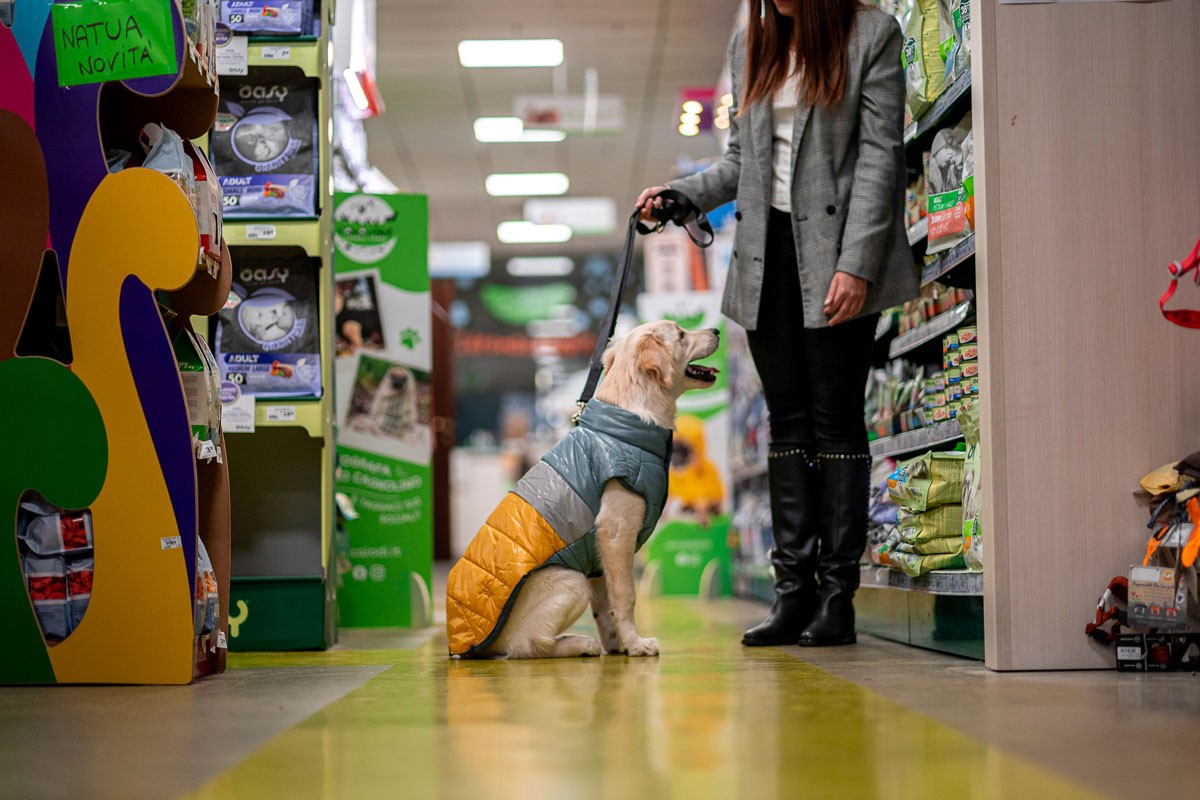 Cane di taglia grande indossa impermeabile per cane del nostro pet store a Lodi.