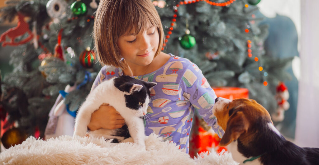 Idee regalo Natale per cane e gatto
