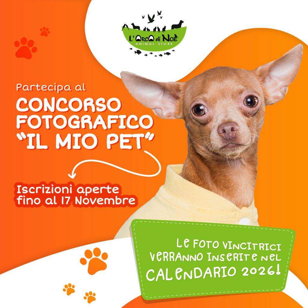 Partecipa alla VI Edizione del Concorso Fotografico "Il Mio Pet": iscrizioni aperte fino al 17 novembre