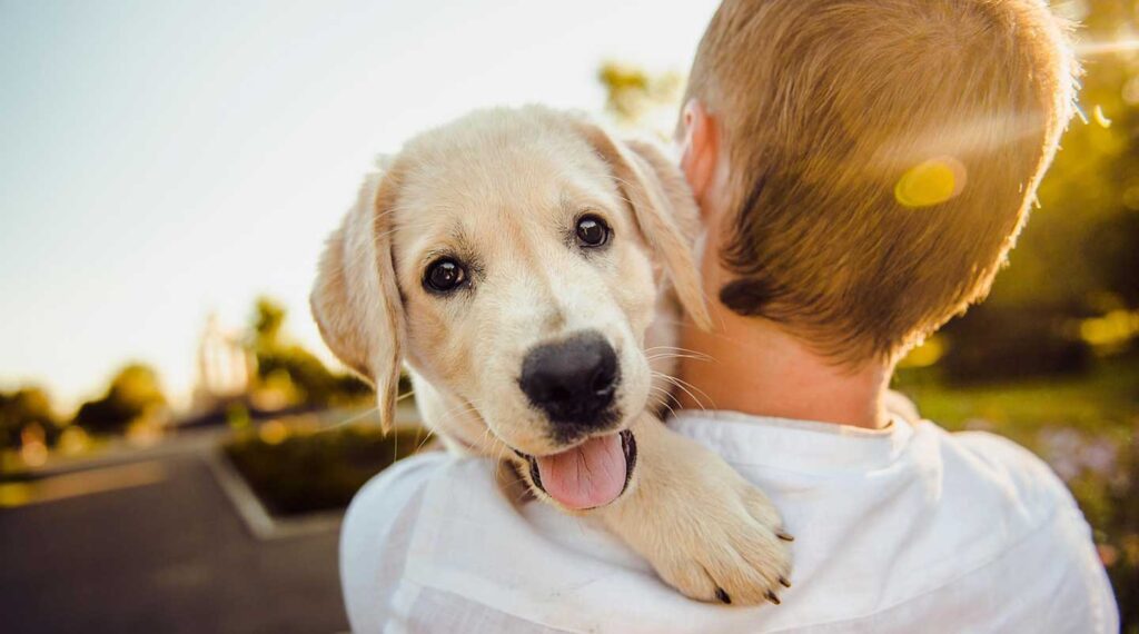 L'Arca di Noè - Come capire se il tuo cane soffre il caldo