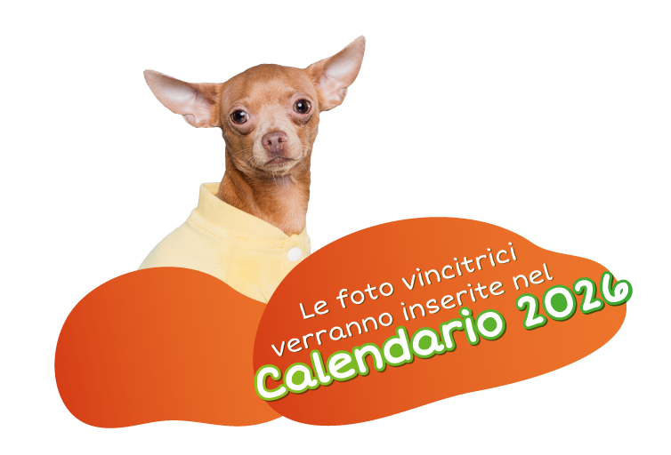 VI Edizione Concorso Fotografico Il Mio Pet